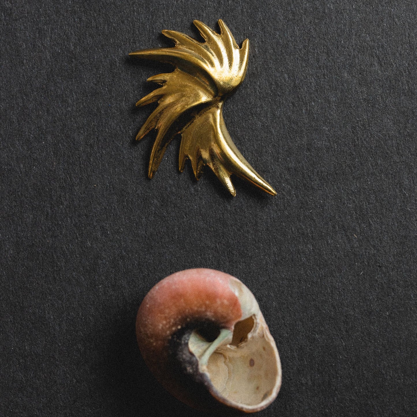 Flash Earrings