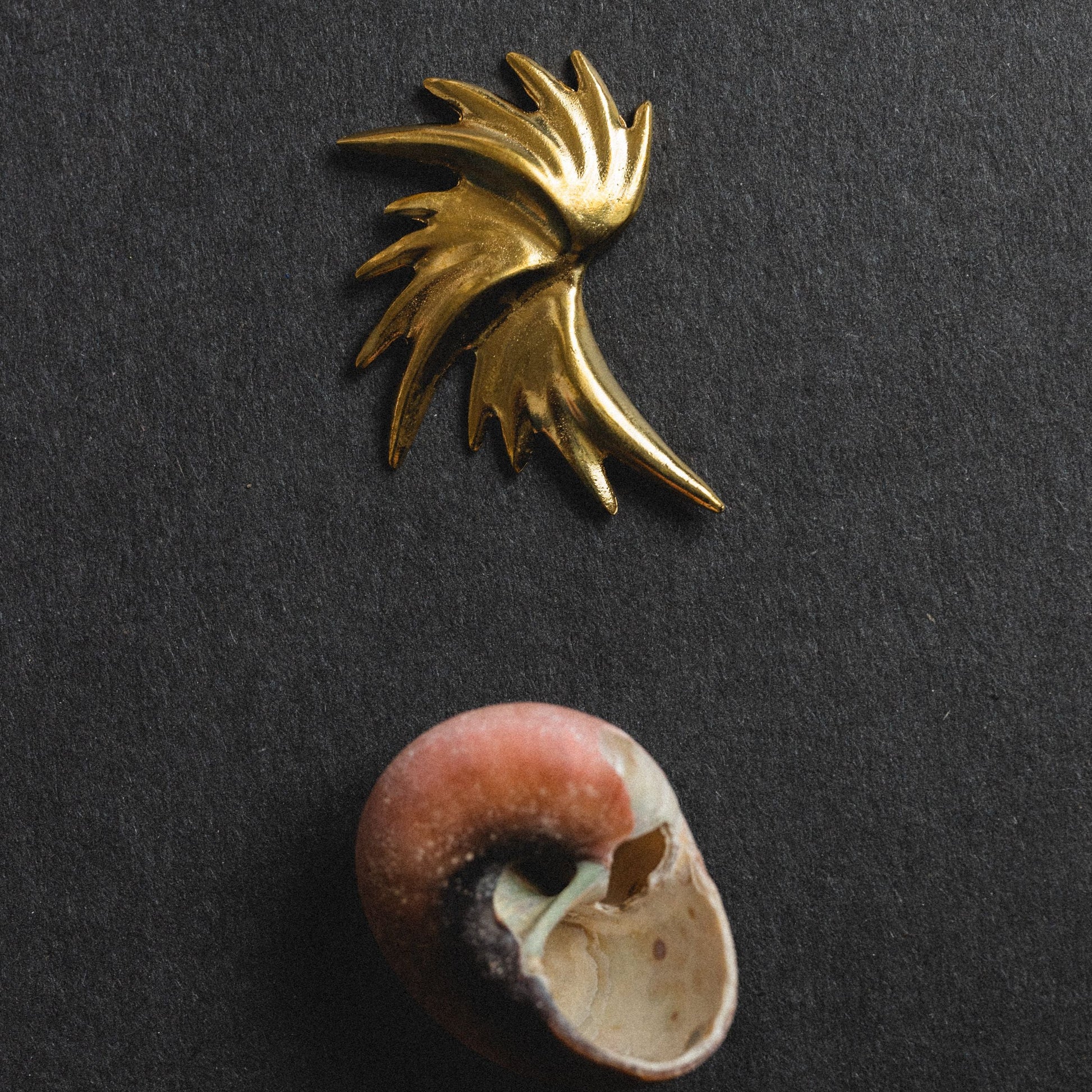 Flash Earrings