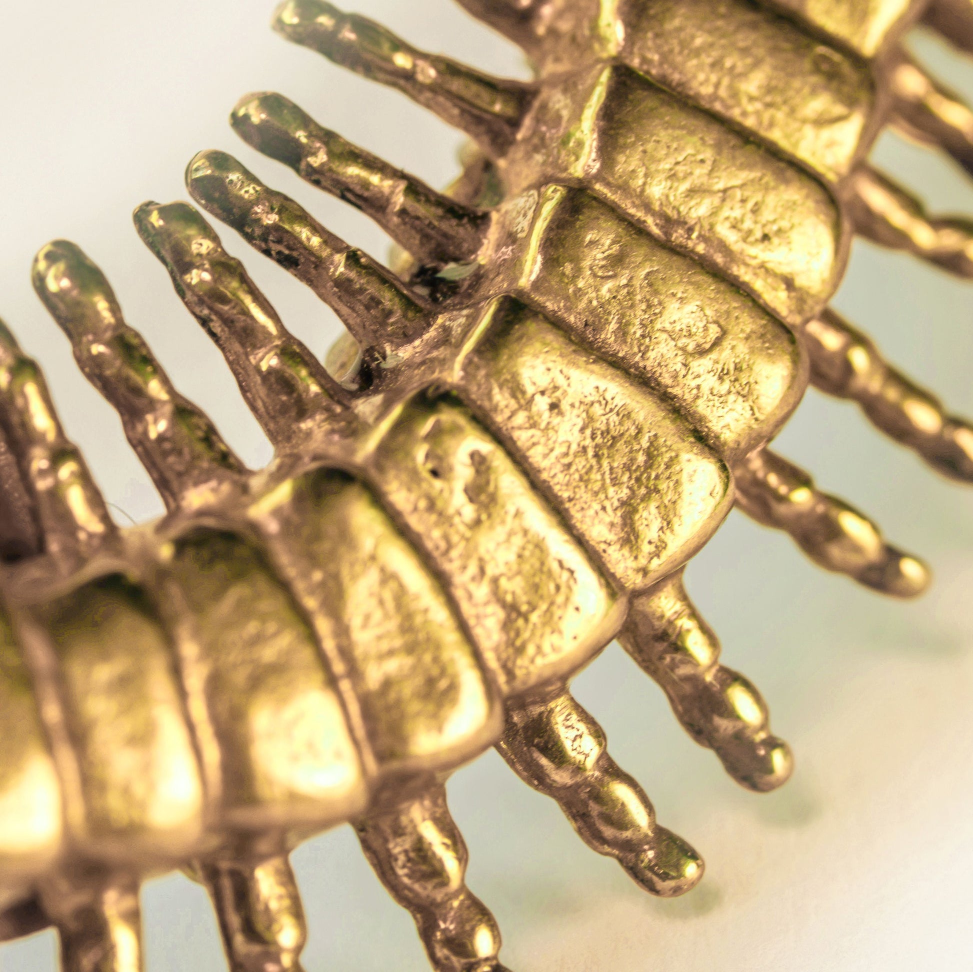 Centipede Brooch