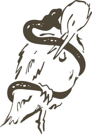 Decorative