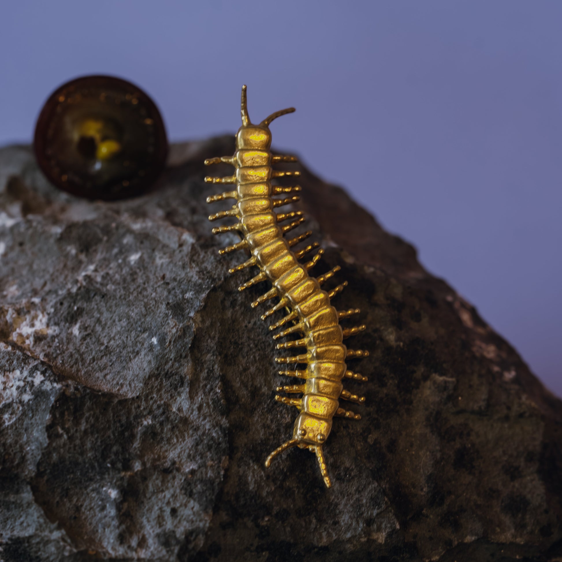 Centipede Brooch