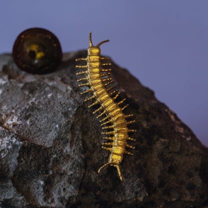 Centipede Brooch