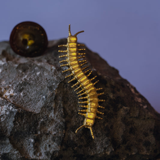 Centipede Brooch